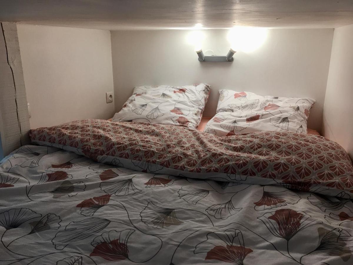 Le Jungle Studio Apartment Rouen Bagian luar foto