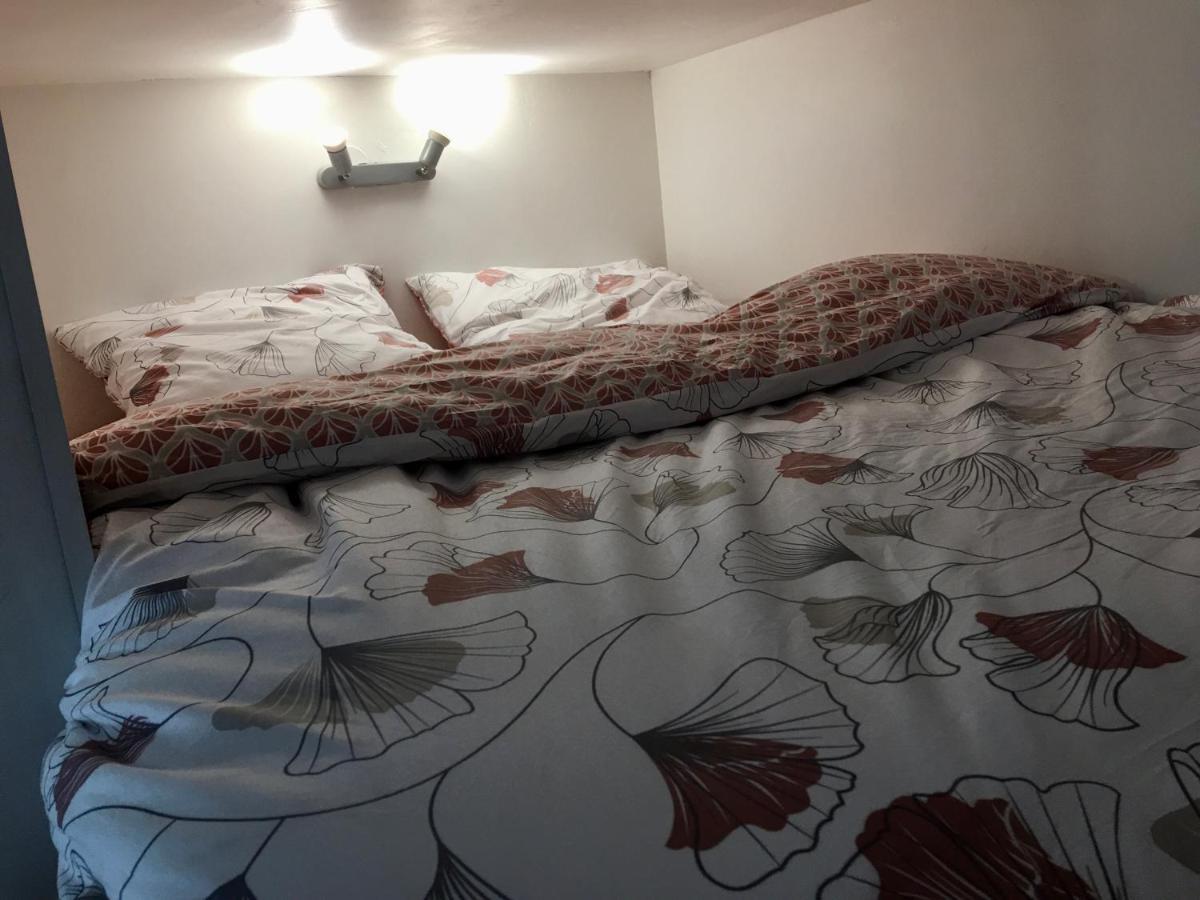 Le Jungle Studio Apartment Rouen Bagian luar foto